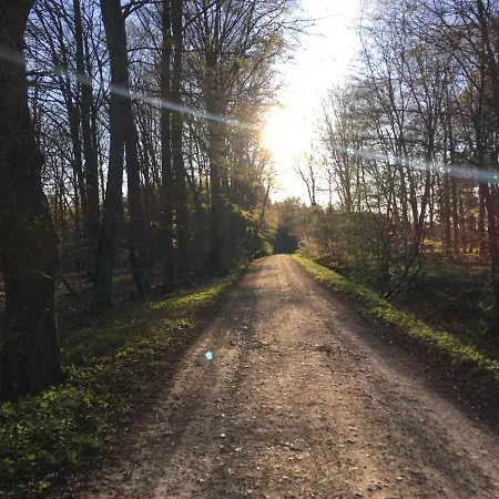 Apartment Dammerstorf Dettmannsdorf