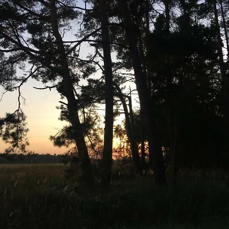 Dammerstorf Apartment Dettmannsdorf