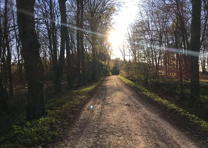 Διαμέρισμα Dammerstorf Dettmannsdorf