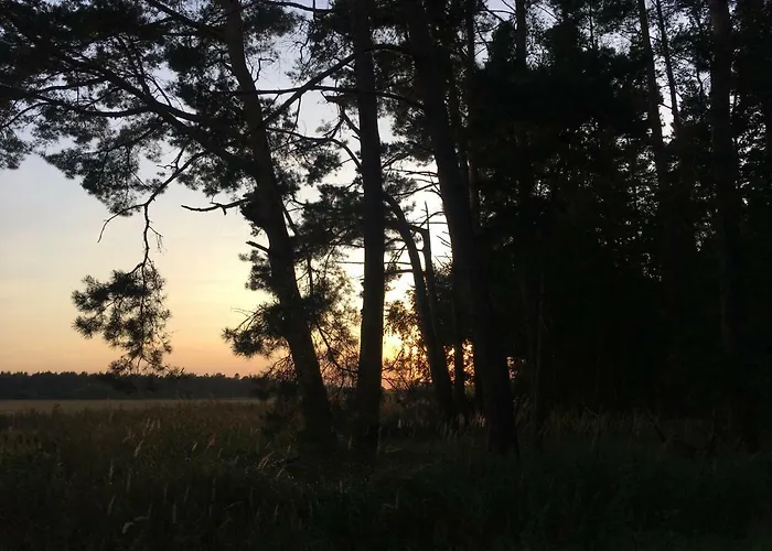 Dammerstorf Διαμέρισμα Dettmannsdorf